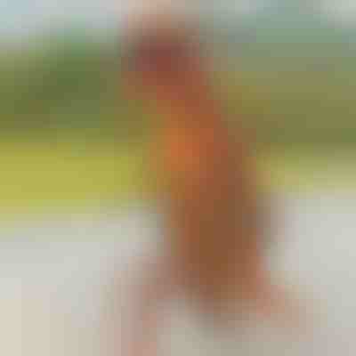 Costume gonfiabile da dinosauro | TREXCOS